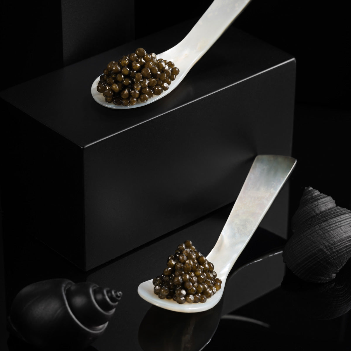 Graduation Caviar Gift Set, 7 x 10g
