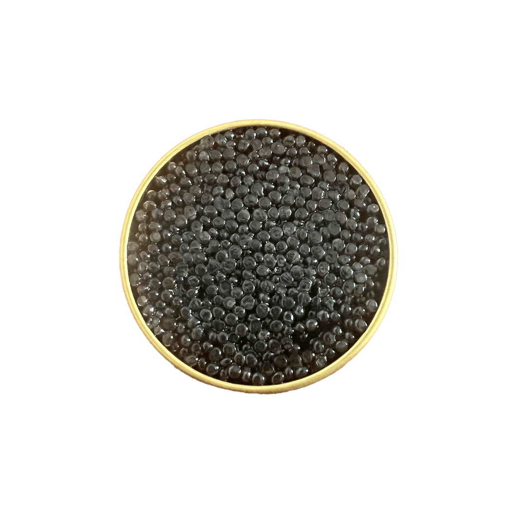Classic White Sturgeon Caviar