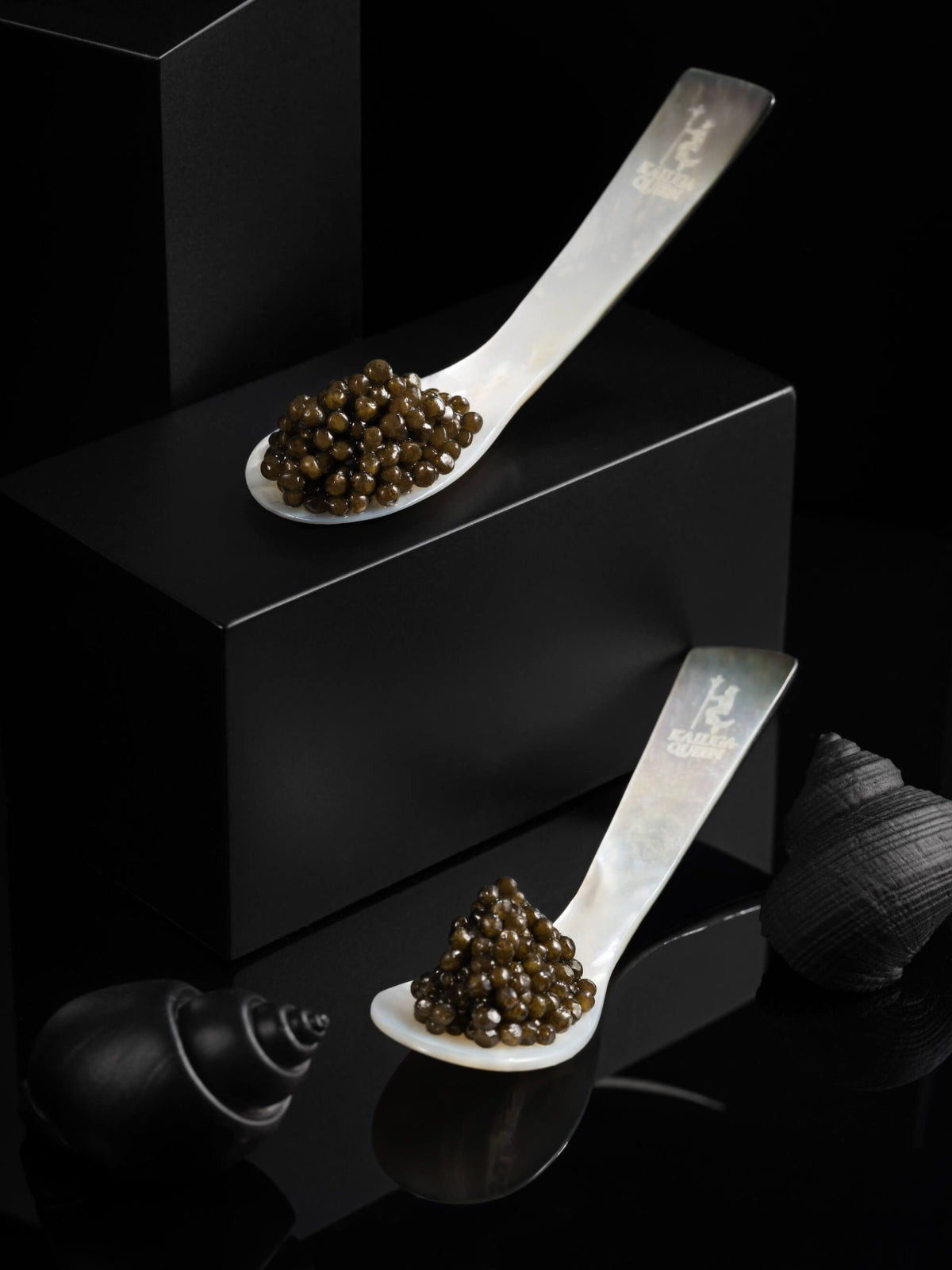 Beluga Caviar, 100g