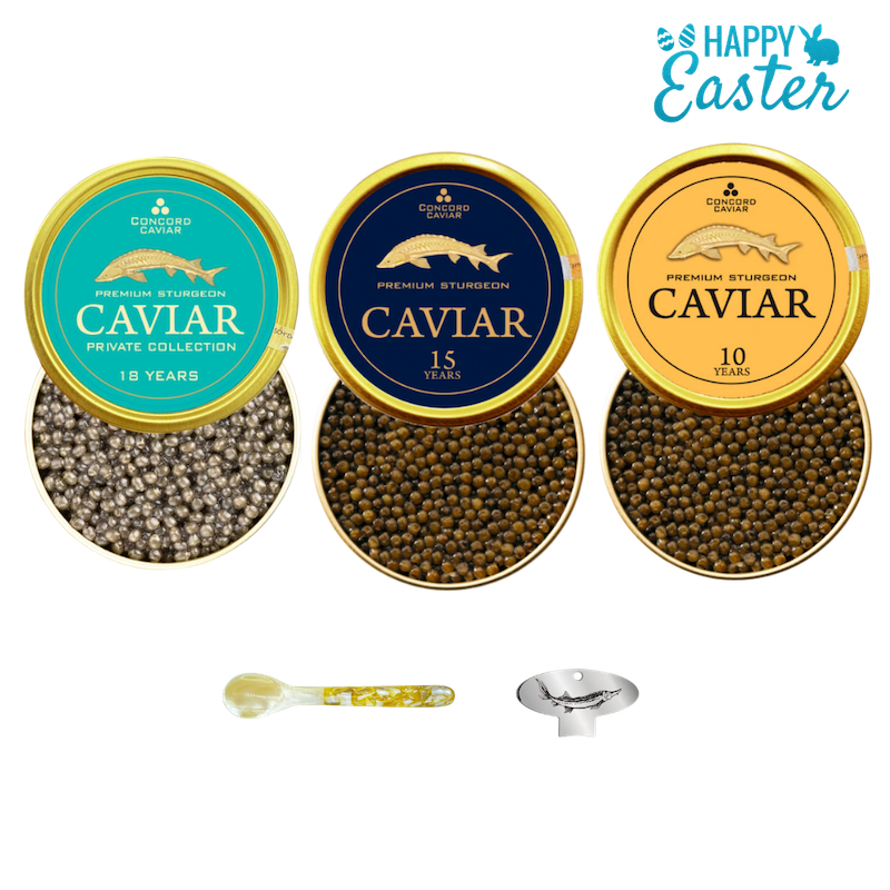 Gourmet Kit, 3 x 50g