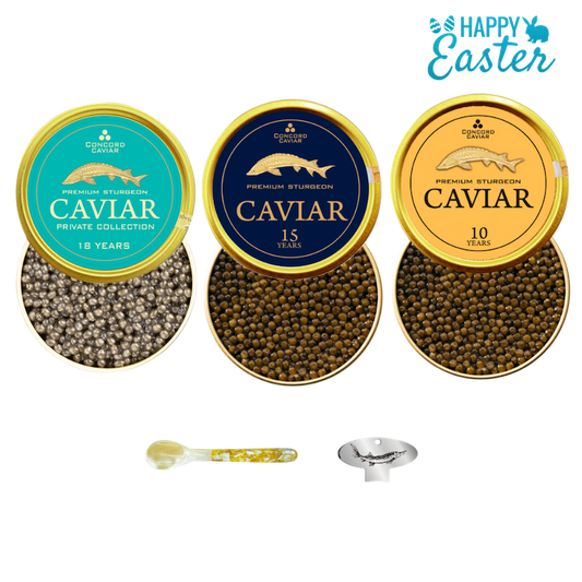 Gourmet Kit, 3 x 50g