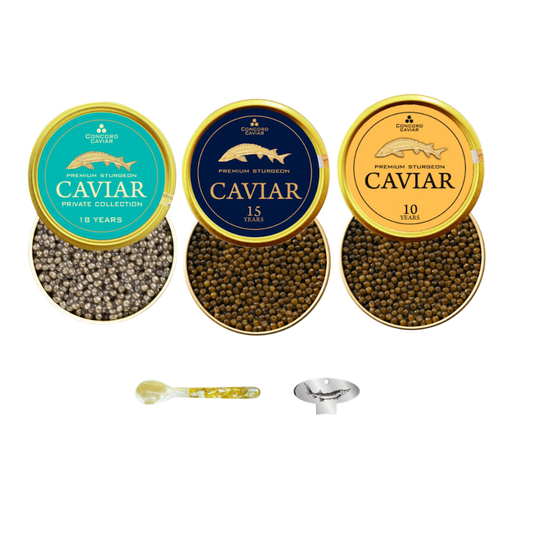 Gourmet Kit, 3 x 50g